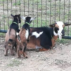 Meet your Posher, Sally